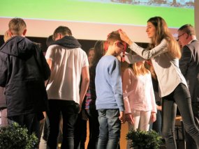 Galeriebild