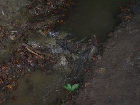 Klassenfahrt der 5a zur Burg Bischofstein