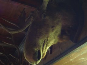 Klassenfahrt der 5a zur Burg Bischofstein