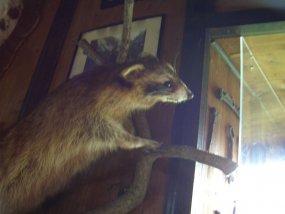 Klassenfahrt der 5a zur Burg Bischofstein