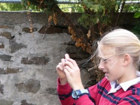Klassenfahrt der 6a zur Burg Bischofstein