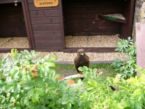 Klassenfahrt der 6a zur Burg Bischofstein