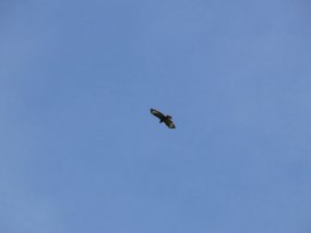 Klassenfahrt der 6c zur Burg Bischofstein