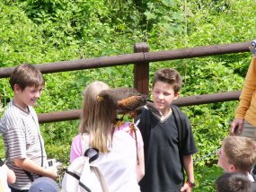 Klassenfahrt der 6c zur Burg Bischofstein