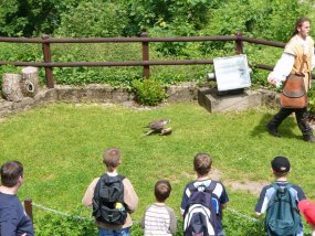 Klassenfahrt der 6c zur Burg Bischofstein