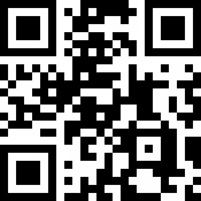 Artikel-Bild