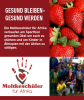 Artikel-Bild